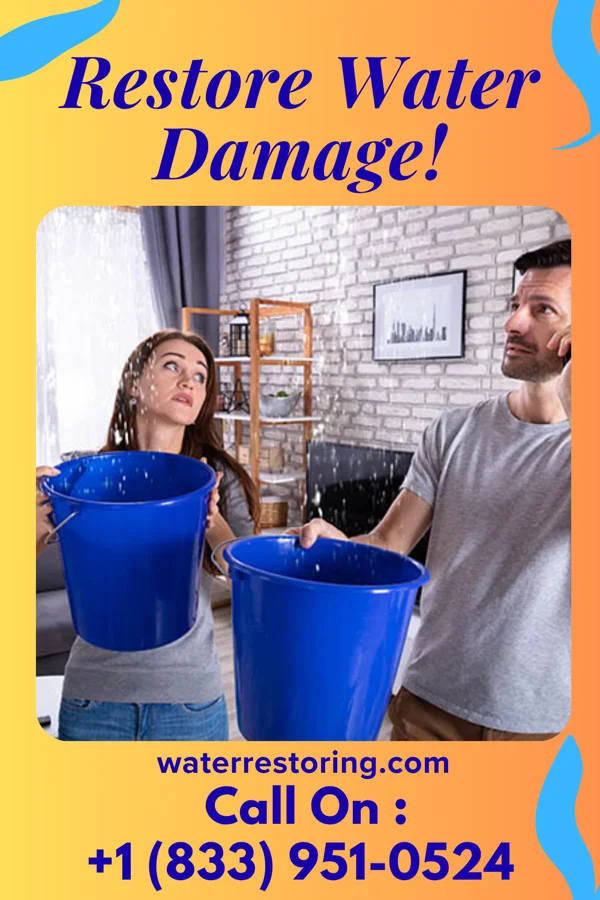 water restoration Pro Water Removal Contractors Flourtown